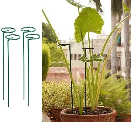 20 Inches Long Plant Support Stakes